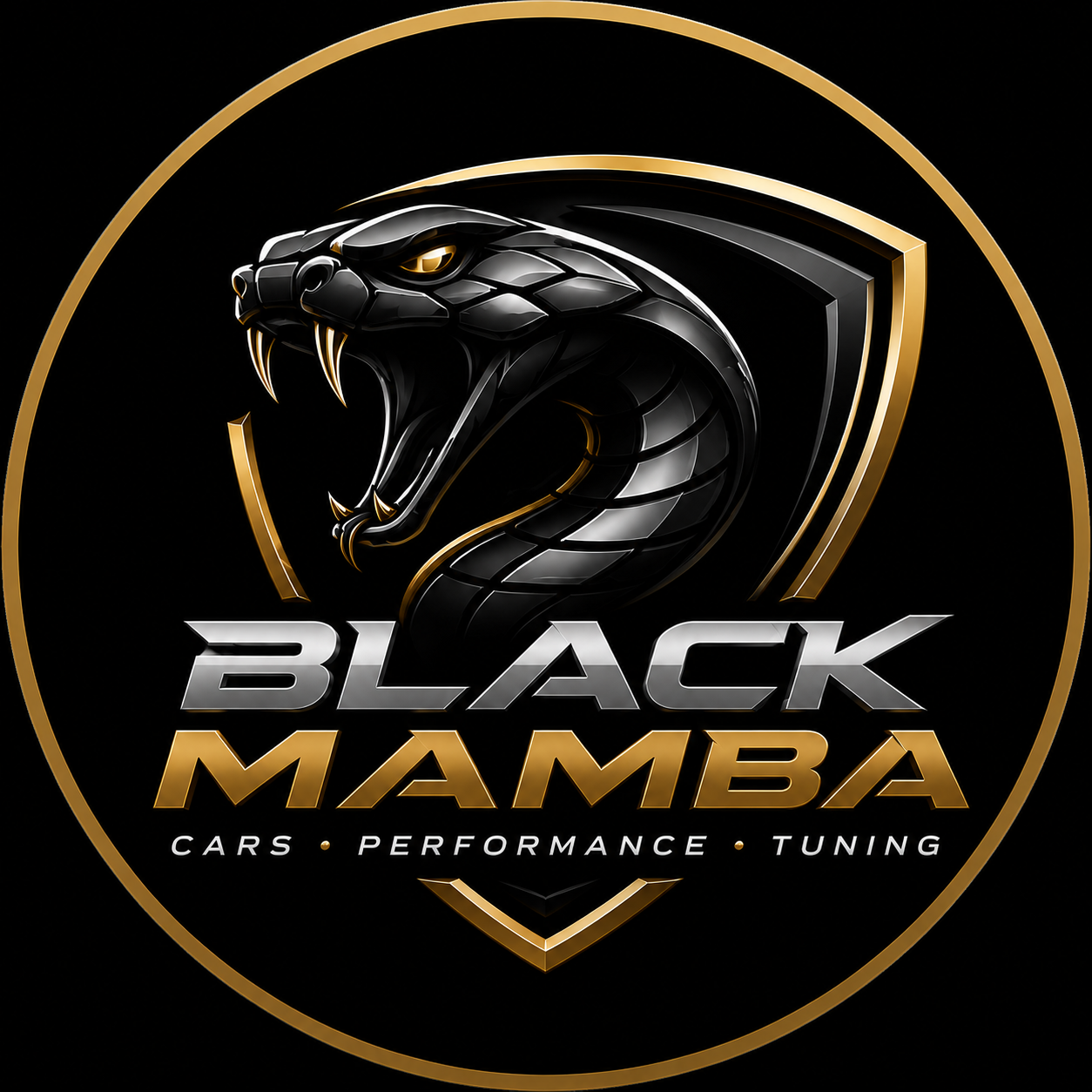 Logo Black Mamba